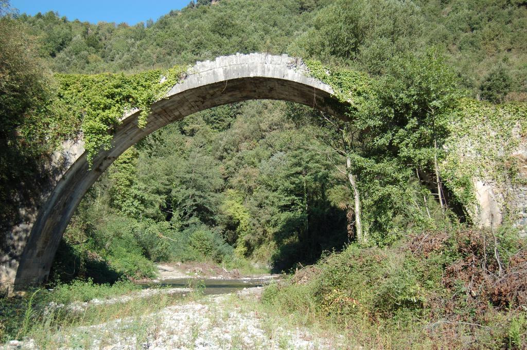 B&B Calabria Scigliano Eksteriør bilde