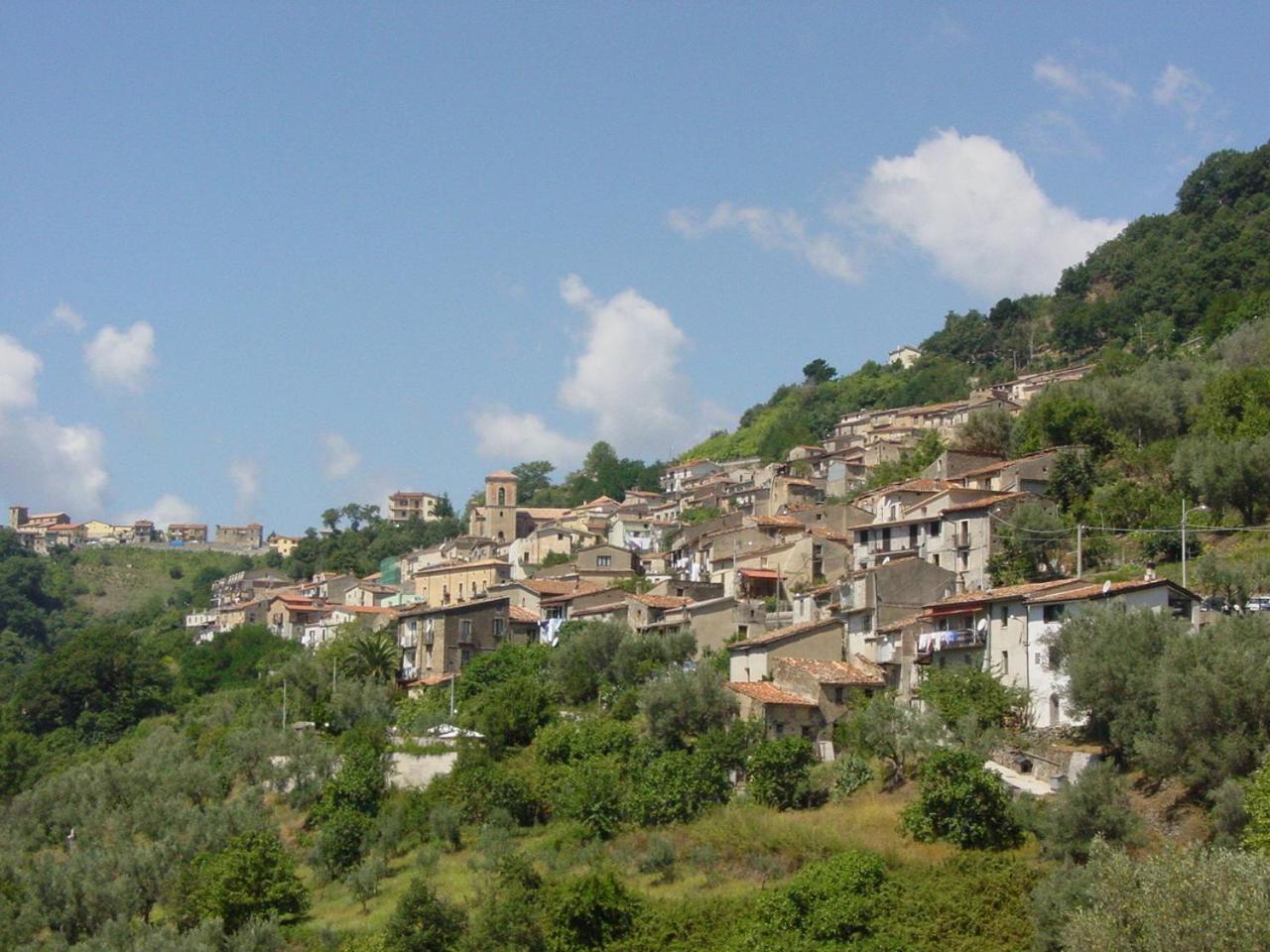 B&B Calabria Scigliano Eksteriør bilde