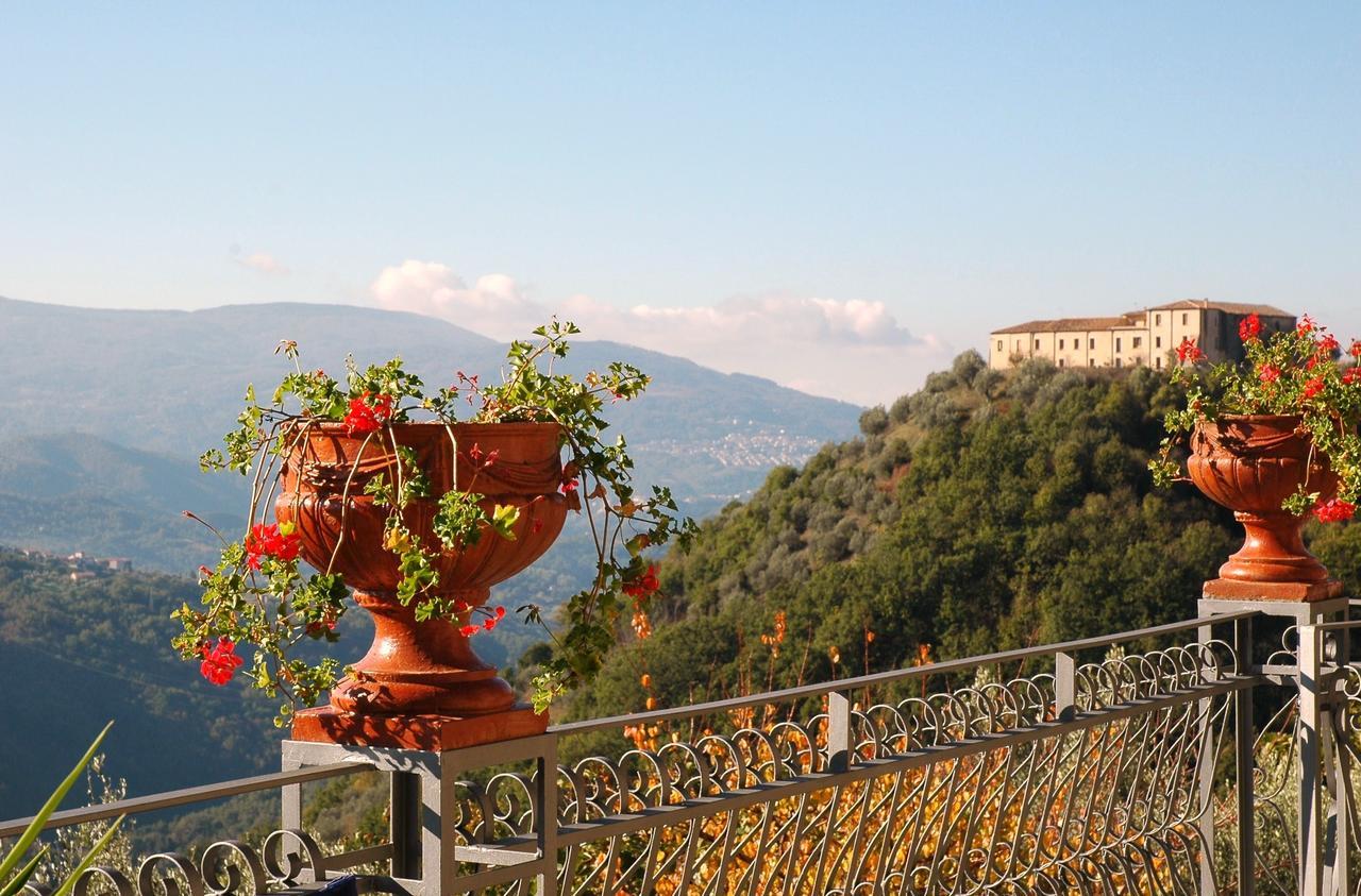 B&B Calabria Scigliano Eksteriør bilde