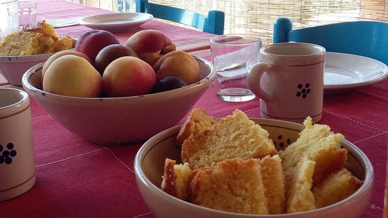 B&B Calabria Scigliano Eksteriør bilde