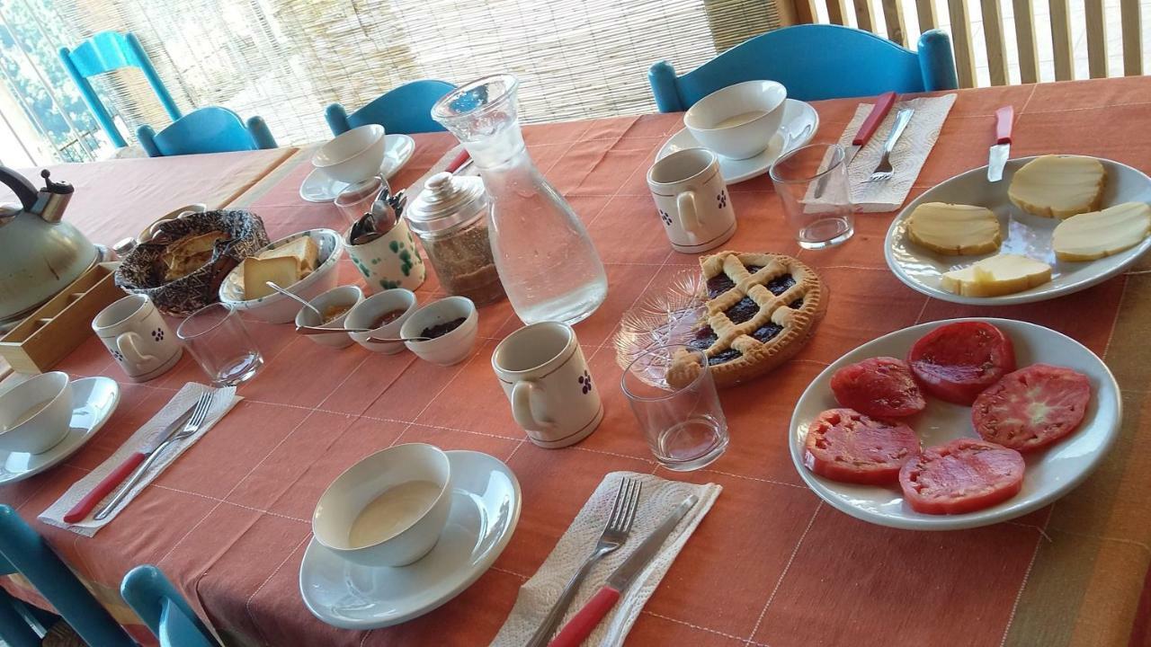 B&B Calabria Scigliano Eksteriør bilde