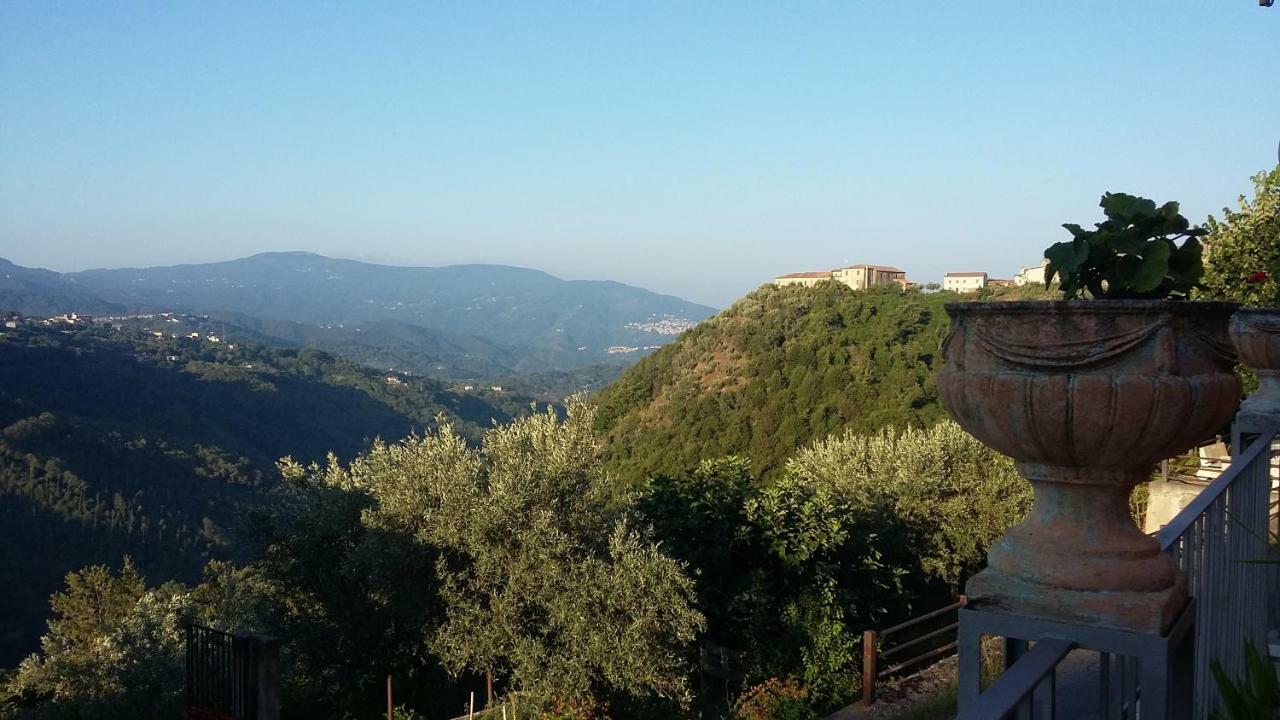 B&B Calabria Scigliano Eksteriør bilde